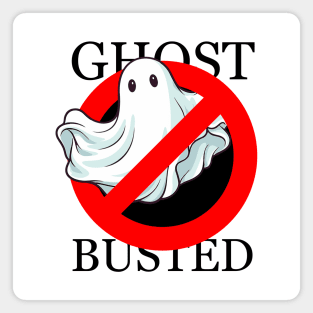 Phasmophobia Ghost Busted Magnet